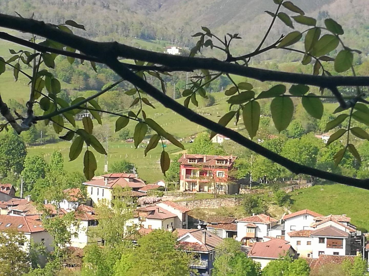 Apartamentos Rurales El Picoretu Mestas De Con Exterior foto