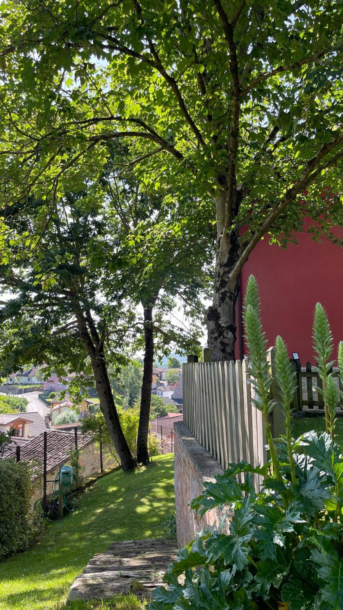 Apartamentos Rurales El Picoretu Mestas De Con Exterior foto