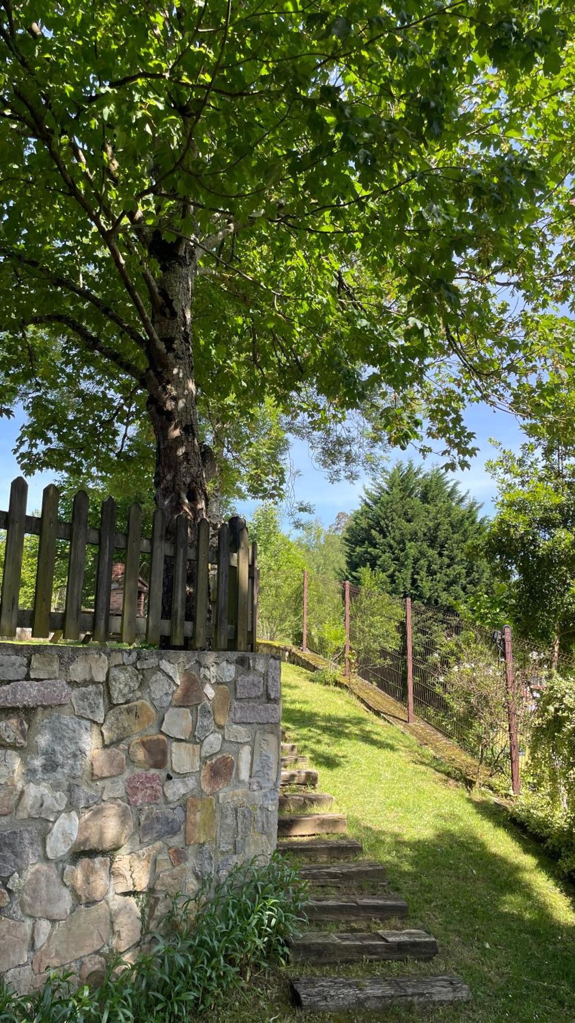 Apartamentos Rurales El Picoretu Mestas De Con Exterior foto